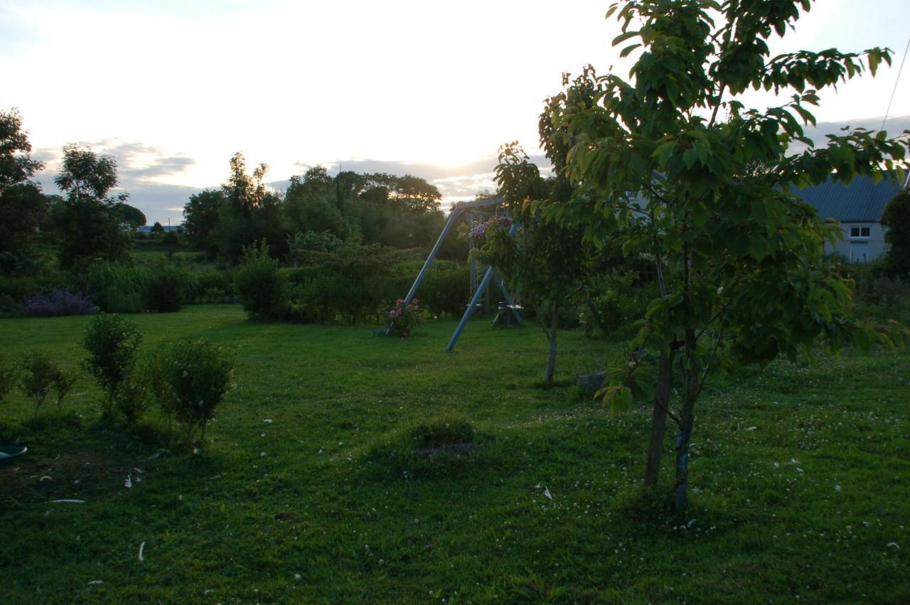 The Little Flock Farm Bed & Breakfast Cloonmore Eksteriør bilde